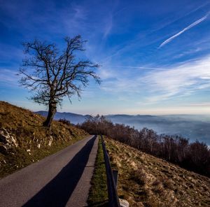 Road amidst bare trees against sky