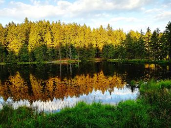 Scenic view of lake in forest against sky