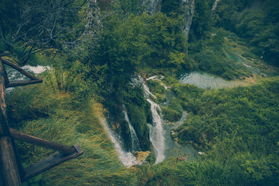 High angle view of waterfall in forest