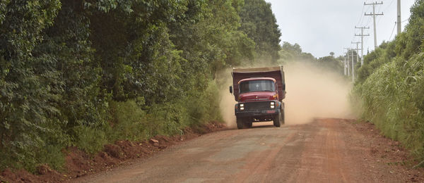 Car on country road amidst trees