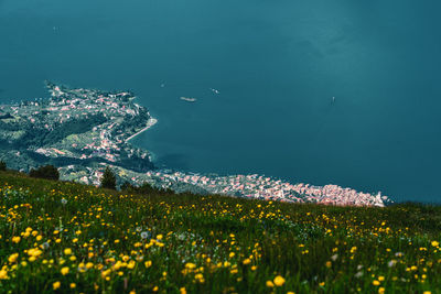 Panoramic view from monte baldo on the old town of malcesine and lake garda in italy.