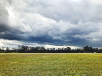 Scenic view of field against sky