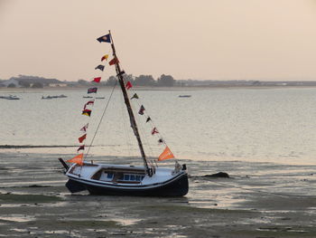 Boats in sea