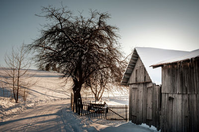 Bare trees on snow covered land against sky