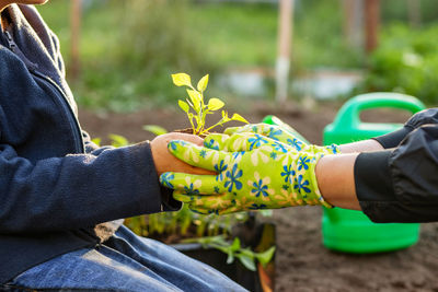 Midsection of man holding plant