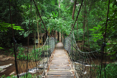 Footbridge over river by trees in forest