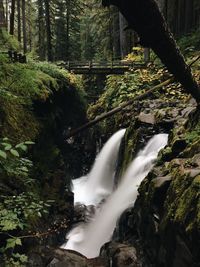 View of waterfall in forest