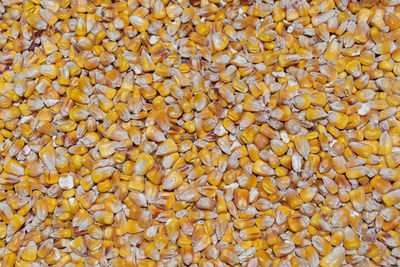 Full frame shot of yellow leaves