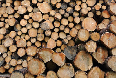 Full frame shot of logs