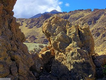 Low angle view of tree against sky