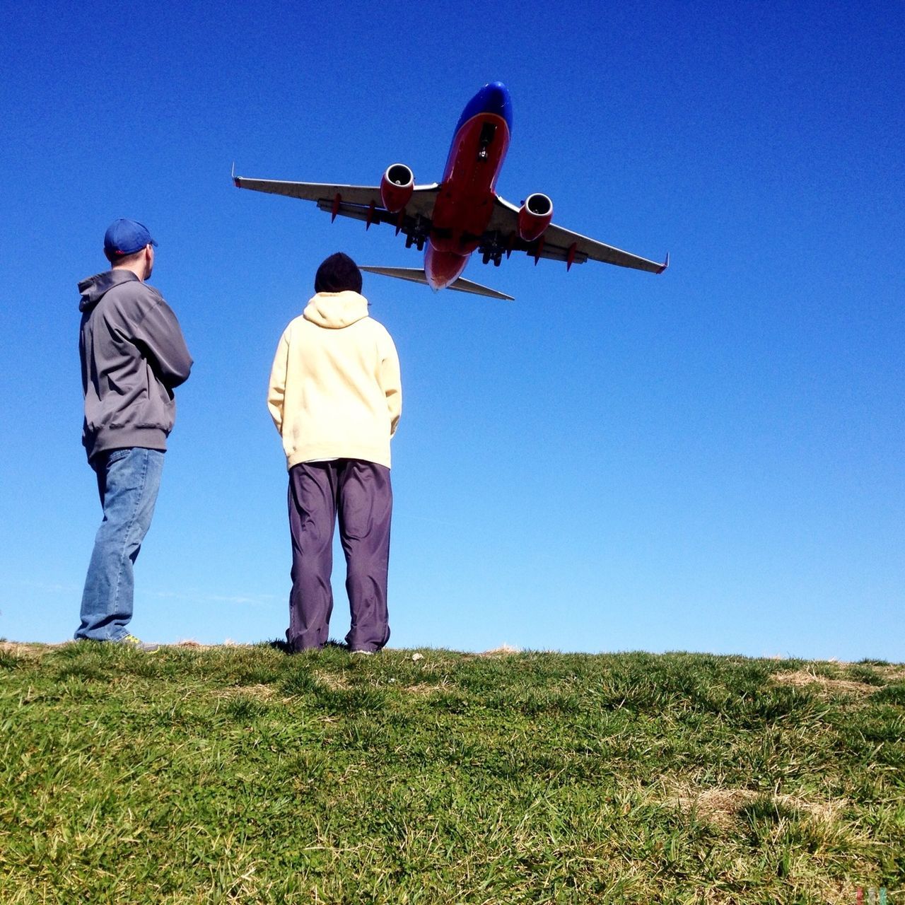 blue, clear sky, flying, mid-air, full length, men, lifestyles, leisure activity, low angle view, grass, copy space, freedom, animal themes, field, sky, standing, landscape, nature