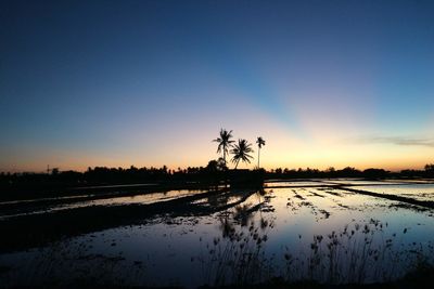 Silhouette trees on field against sky during sunset