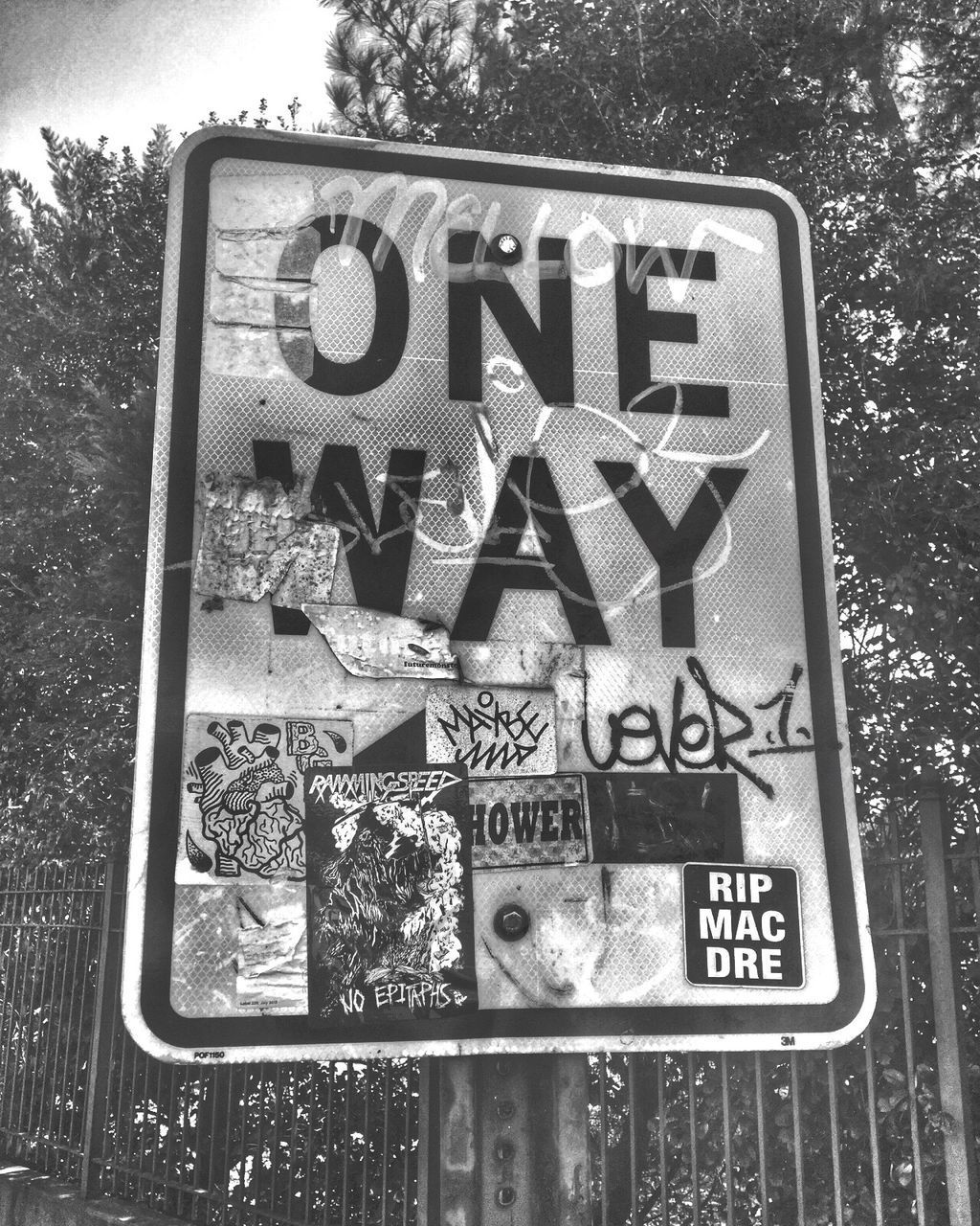 CLOSE-UP OF SIGN ON ROAD AGAINST TREES