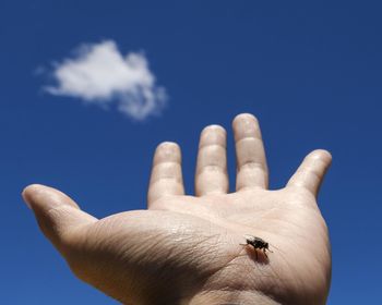 Close-up of hand against blue sky