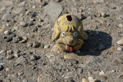 High angle view of piggy bank on sand