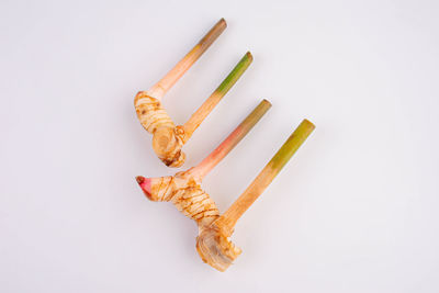 Close-up of wooden clothespins against white background