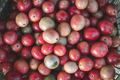 Full frame shot of fruits for sale in market