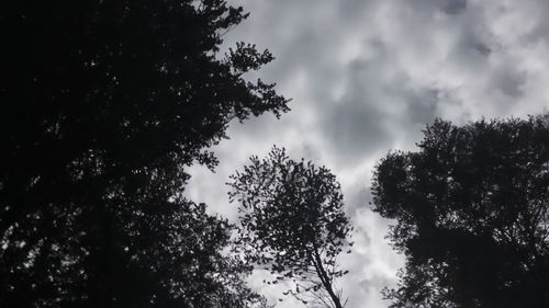 Low angle view of trees against cloudy sky