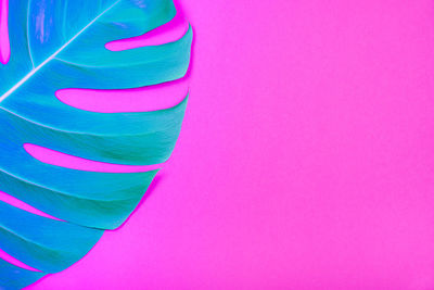 Close-up of multi colored umbrella