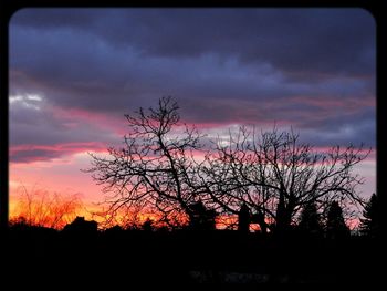 Silhouette of trees against cloudy sky