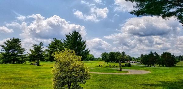 Panoramic view of trees on field against sky