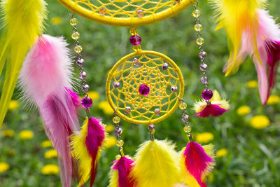 Close-up of multi colored flowers hanging on plant