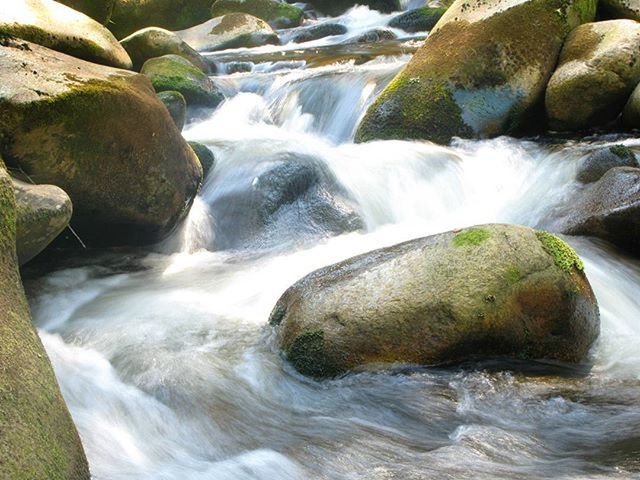 water, waterfall, flowing water, motion, rock - object, flowing, nature, stream, beauty in nature, long exposure, rock, outdoors, day, forest, no people, surf, river, moss, green color, blurred motion