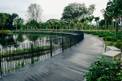 Boardwalk amidst plants against sky