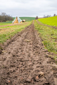 soil
