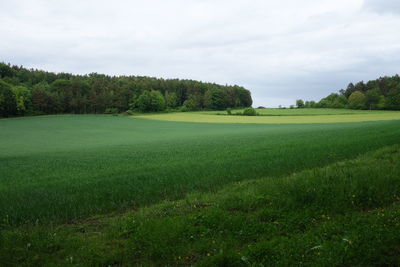 Scenic view of field against sky