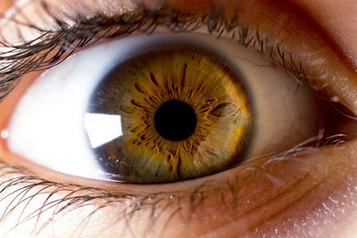 Close-up of human eye