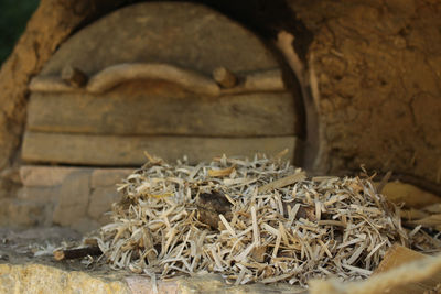 Close up of firewood