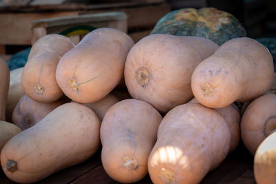 Close-up of pumpkins for sale at market stall