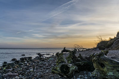 Driftwood on shore against sky during sunset