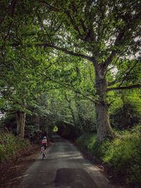 Rear view of boy riding bicycle on road amidst trees