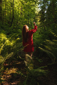 Rear view of woman standing amidst trees in forest