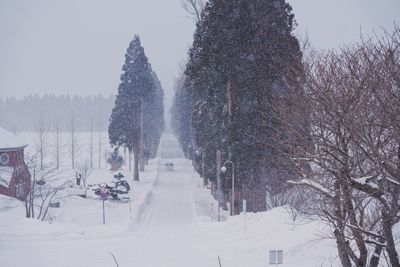 Snow covered land and trees against sky