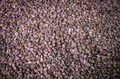 Full frame shot of raw coffee beans