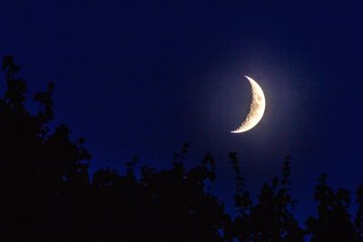 Low angle view of half moon in sky at night