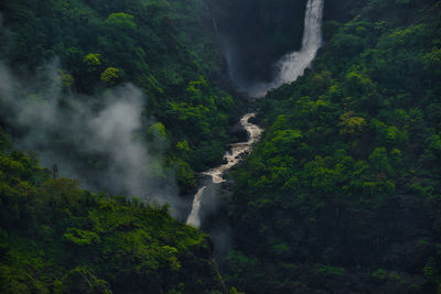 Scenic view of waterfall in forest