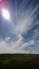 Scenic view of grassy field against sky