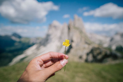 Cropped hand holding flower against mountain