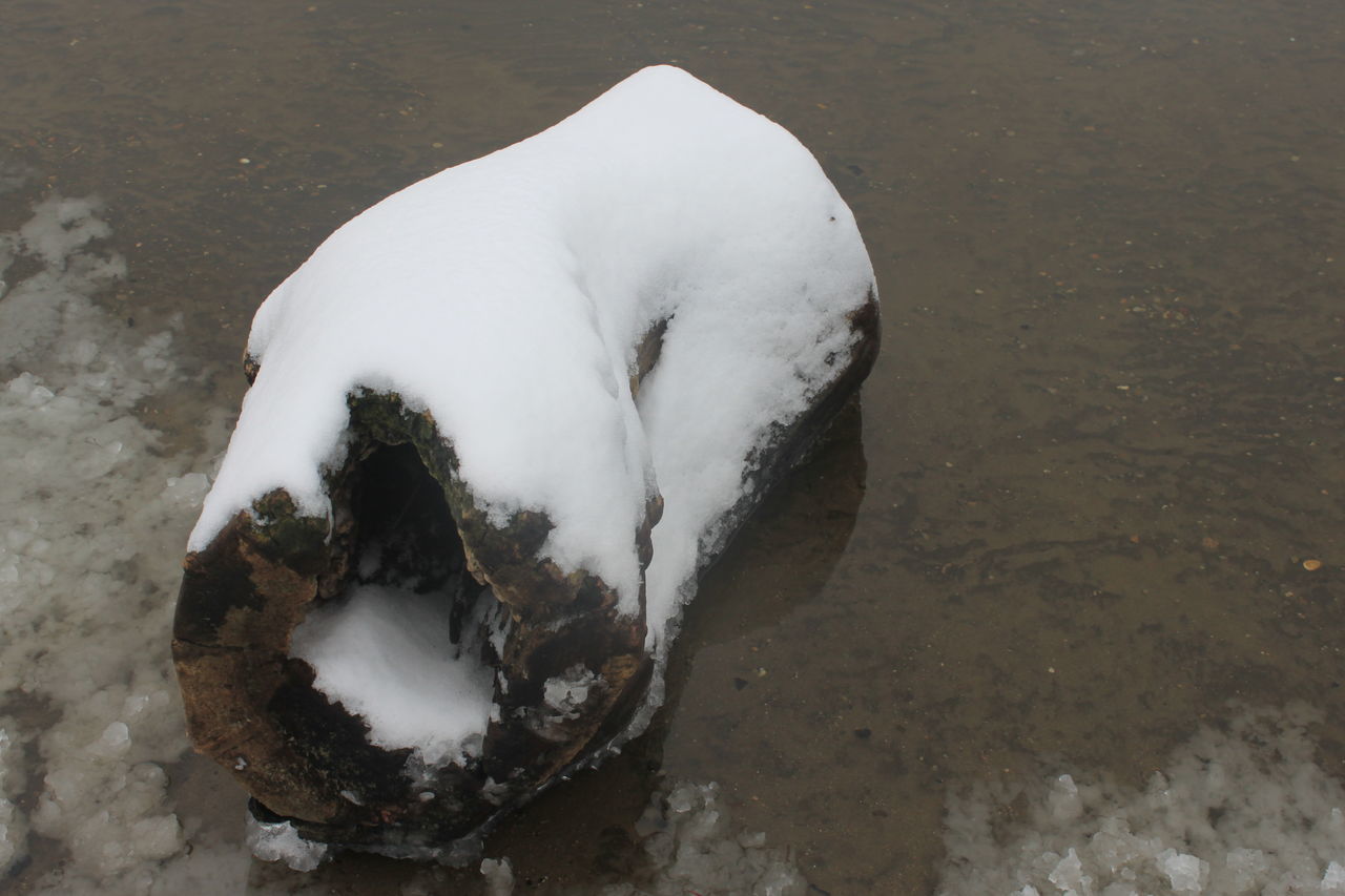 Tree trunk with snow