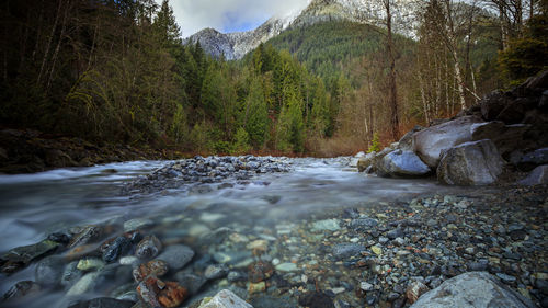 Stream flowing through rocks in forest