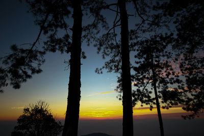 Silhouette trees against sky during sunset