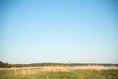 Scenic view of grassy field against blue sky