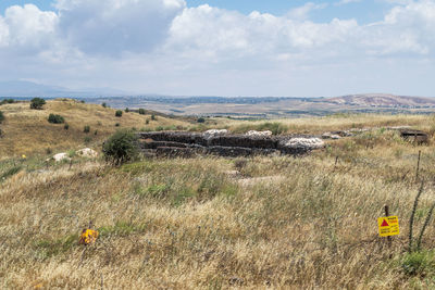 Scenic view of field against sky