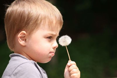 Close-up of boy holding dandelion