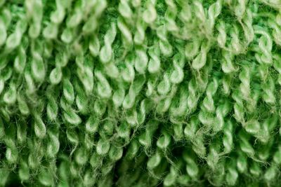 Full frame shot of green wool