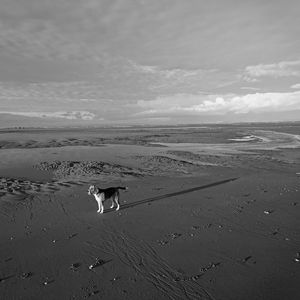 Man standing on beach against sky